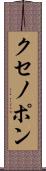 クセノポン Scroll