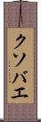 クソバエ Scroll