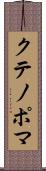 クテノポマ Scroll