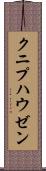 クニプハウゼン Scroll