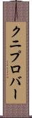 クニプロバー Scroll