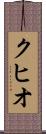 クヒオ Scroll