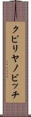 クピリヤノビッチ Scroll