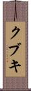 クブキ Scroll