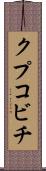 クプコビチ Scroll