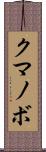 クマノボ Scroll