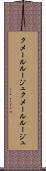 クメールルージュ Scroll