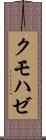 クモハゼ Scroll