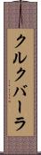 クルクバーラ Scroll