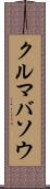 クルマバソウ Scroll