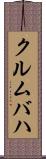 クルムバハ Scroll