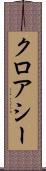 クロアシー Scroll