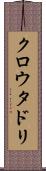 クロウタドリ Scroll