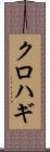 クロハギ Scroll