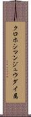 クロホシマンジュウダイ属 Scroll