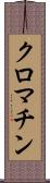 クロマチン Scroll