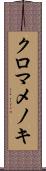 クロマメノキ Scroll