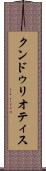 クンドゥリオティス Scroll