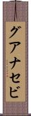 グアナセビ Scroll