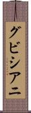 グビシアニ Scroll