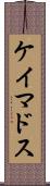 ケイマドス Scroll