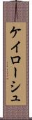 ケイローシュ Scroll