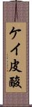 ケイ皮酸 Scroll