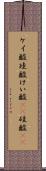ケイ酸 Scroll