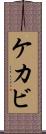 ケカビ Scroll