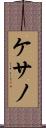 ケサノ Scroll