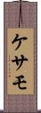 ケサモ Scroll