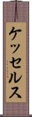 ケッセルス Scroll