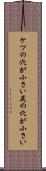 ケツの穴が小さい Scroll