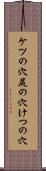 ケツの穴 Scroll