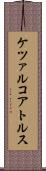 ケツァルコアトルス Scroll