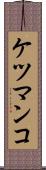 ケツマンコ Scroll