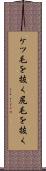 ケツ毛を抜く Scroll