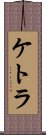 Ketra Scroll