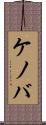 ケノバ Scroll