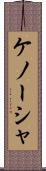 ケノーシャ Scroll