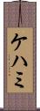 ケハミ Scroll