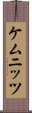 ケムニッツ Scroll