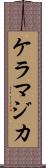 ケラマジカ Scroll