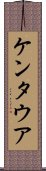 ケンタウア Scroll