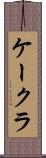ケークラ Scroll