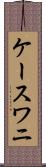 ケースワニ Scroll