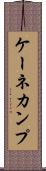 ケーネカンプ Scroll