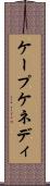 ケープケネディ Scroll