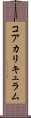 コア・カリキュラム Scroll