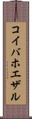 コイバホエザル Scroll